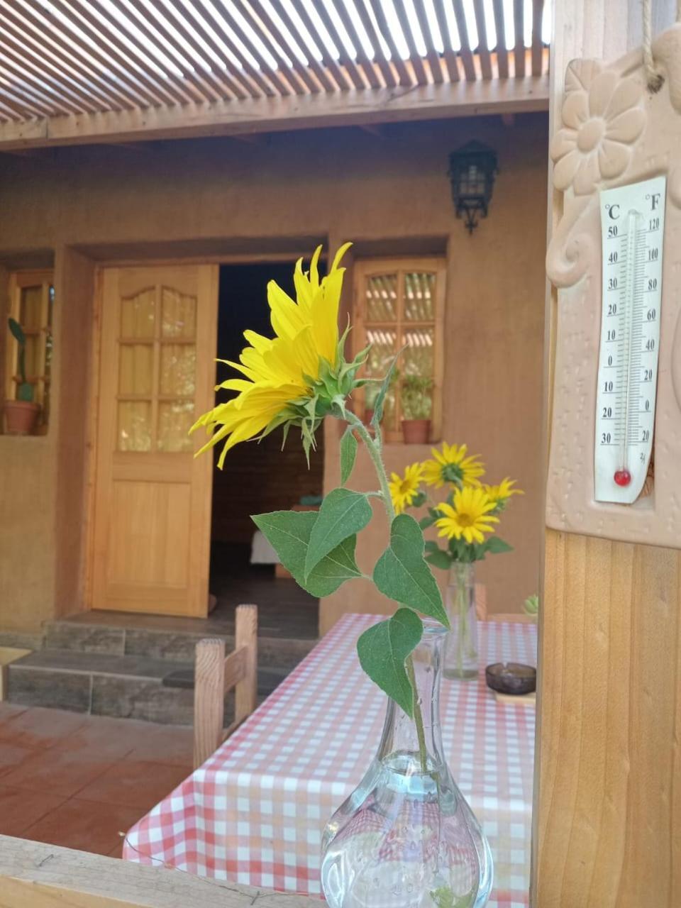 Horcón Puma Cottage מראה חיצוני תמונה